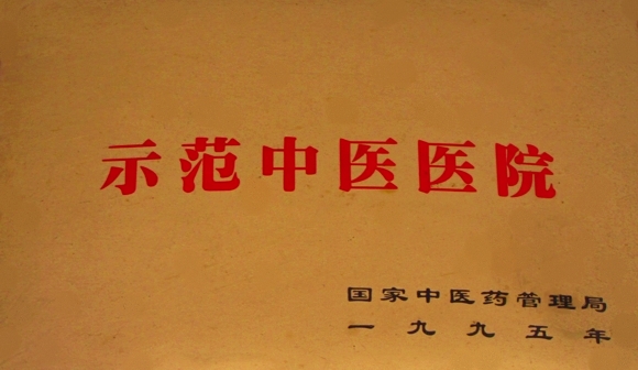 示范中医院